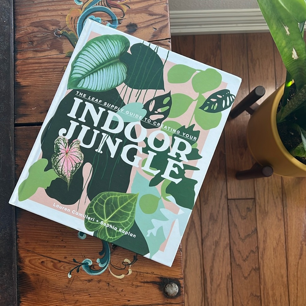 Indoor Jungle book - Lauren Camilleri